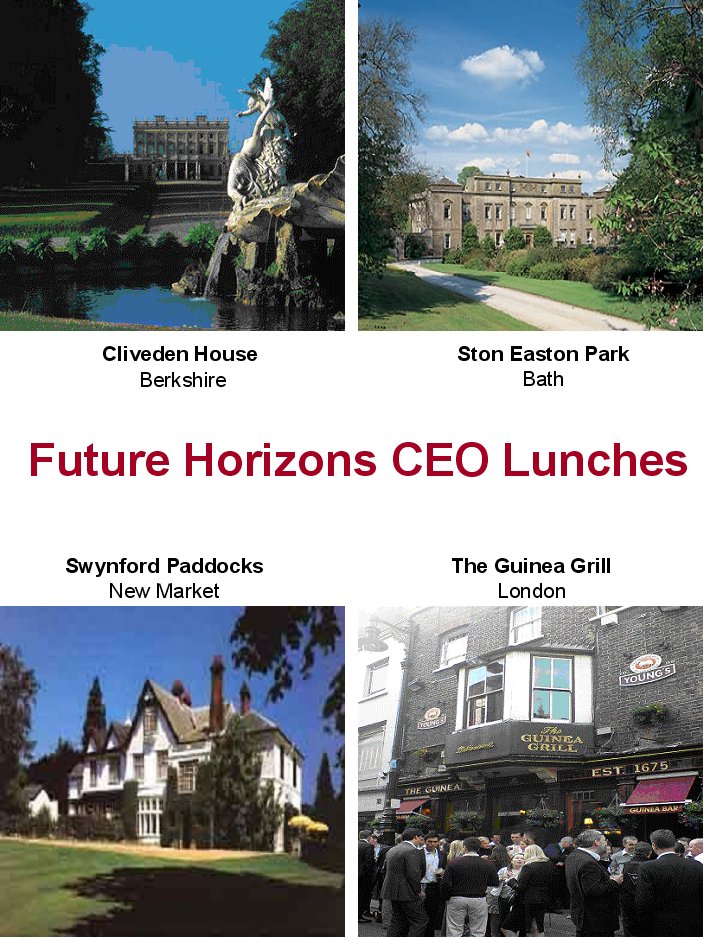 CEO lunch web graphic